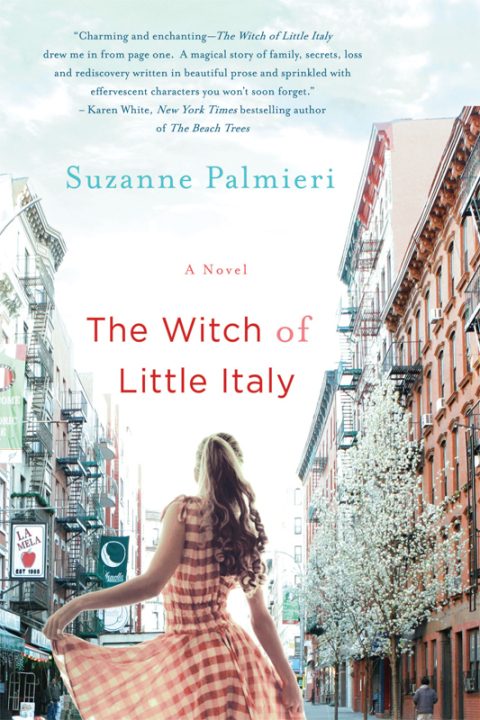 Cover image for book The Witch of Little Italy