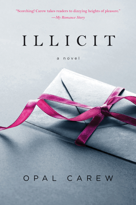 Cover image for book Illicit