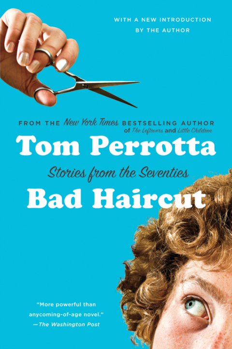 Cover image for book Bad Haircut