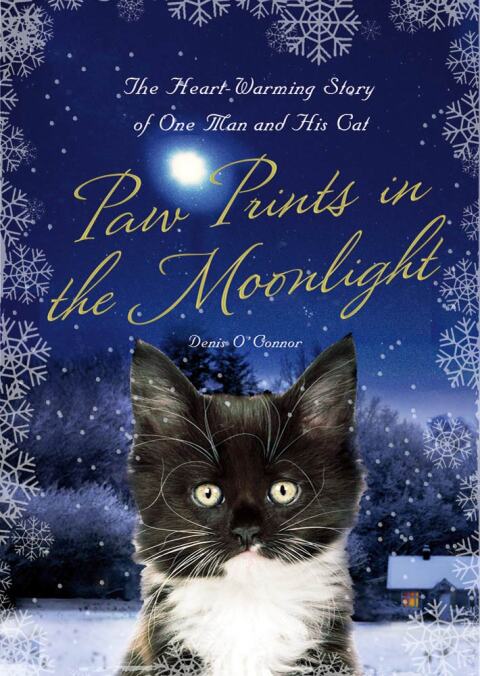 Cover image for book Paw Prints in the Moonlight