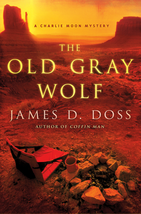 Cover image for book The Old Gray Wolf
