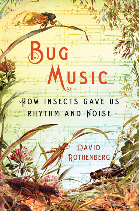 Cover image for book Bug Music