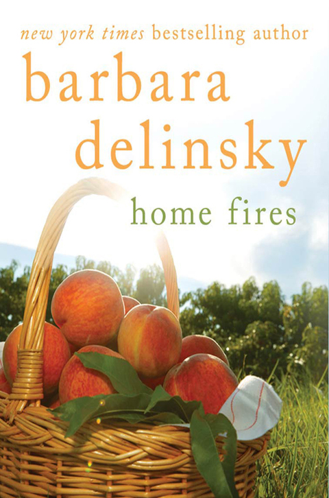 Cover image for book Home Fires