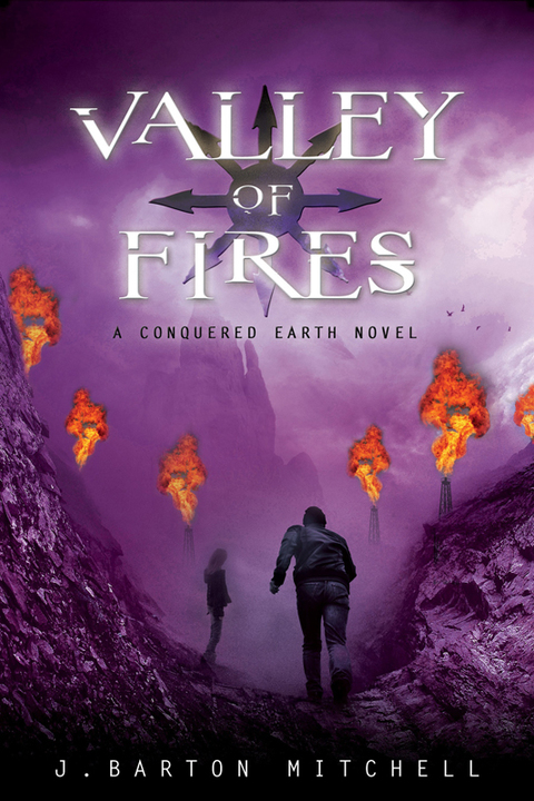 Cover image for book Valley of Fires