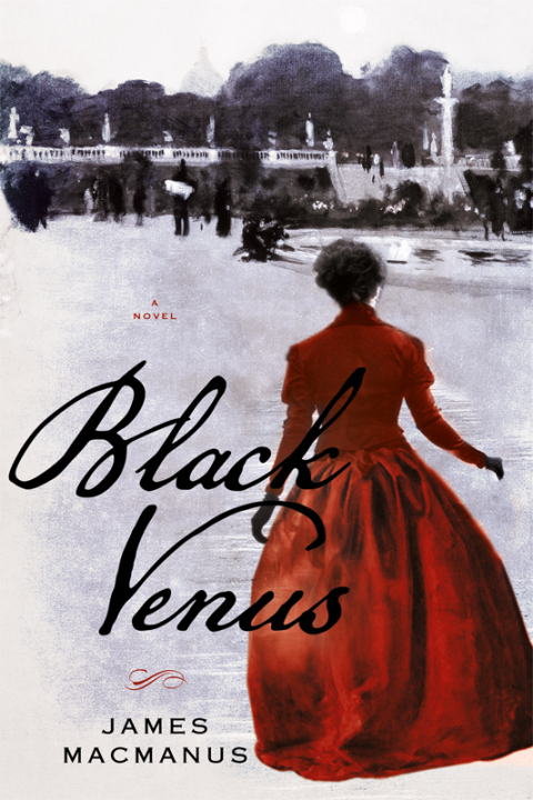 Cover image for book Black Venus