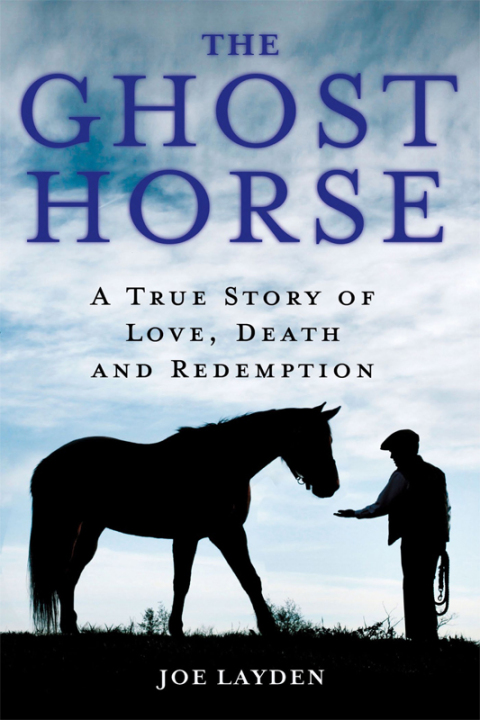 Cover image for book The Ghost Horse