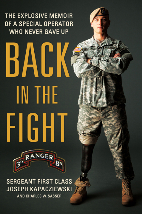 Cover image for book Back in the Fight