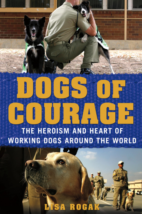 Cover image for book Dogs of Courage