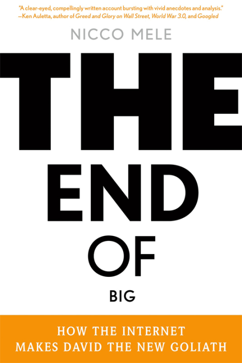 Cover image for book The End of Big