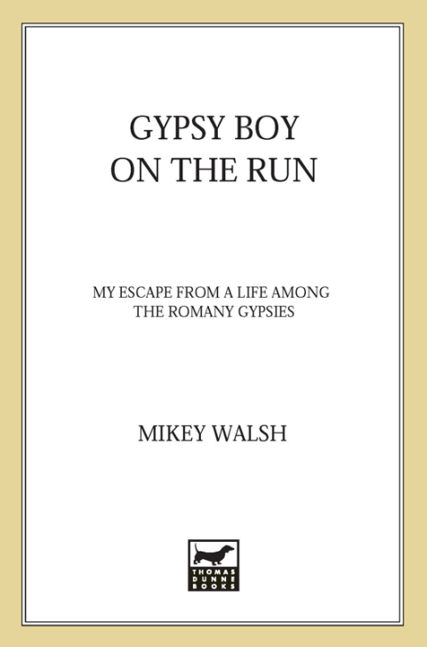 Cover image for book Gypsy Boy on the Run