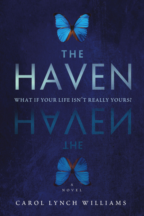 Cover image for book The Haven