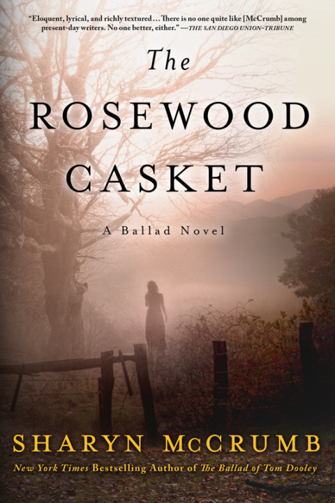 Cover image for book The Rosewood Casket