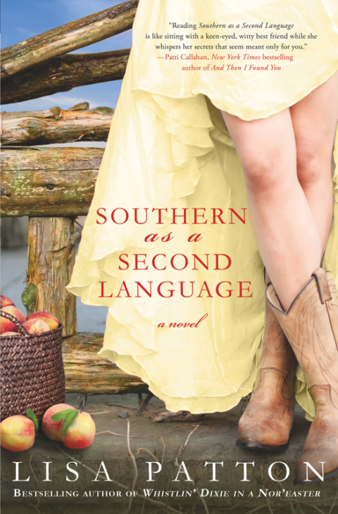 Cover image for book Southern as a Second Language