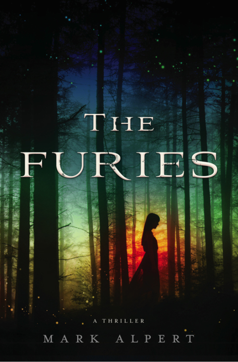 Cover image for book The Furies