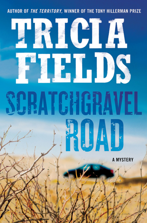 Cover image for book Scratchgravel Road