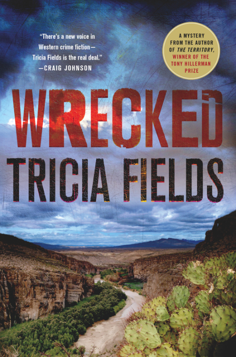 Cover image for book Wrecked