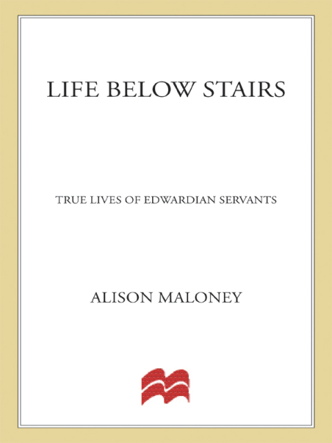 Cover image for book Life Below Stairs