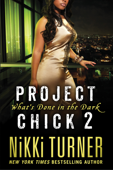 Cover image for book Project Chick 2: What's Done in the Dark