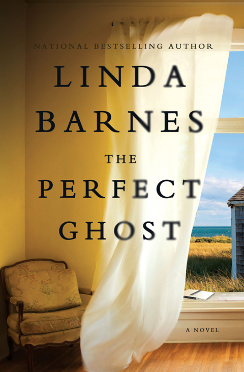 Cover image for book The Perfect Ghost