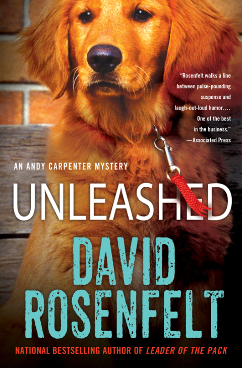 Cover image for book Unleashed