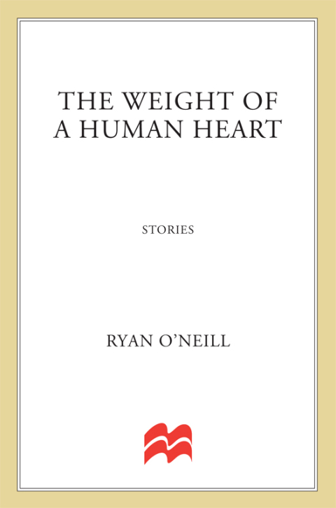Cover image for book The Weight of a Human Heart
