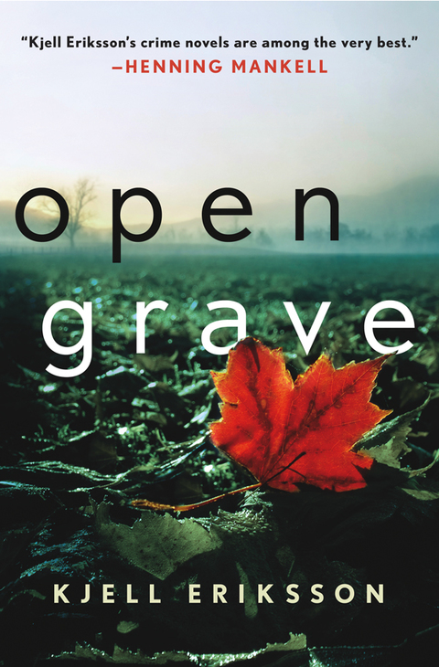 Cover image for book Open Grave