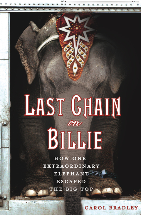 Cover image for book Last Chain on Billie
