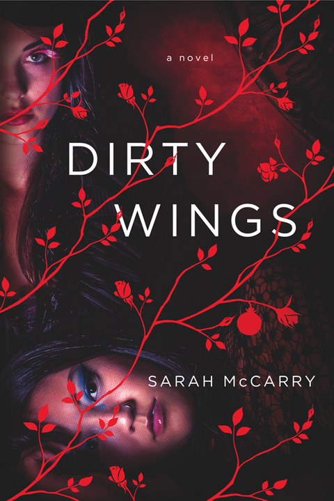 Cover image for book Dirty Wings