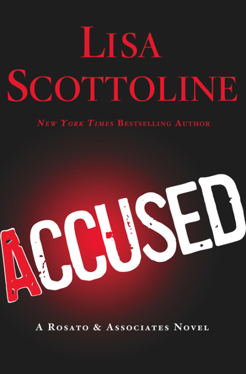 Cover image for book Accused: A Rosato & DiNunzio Novel
