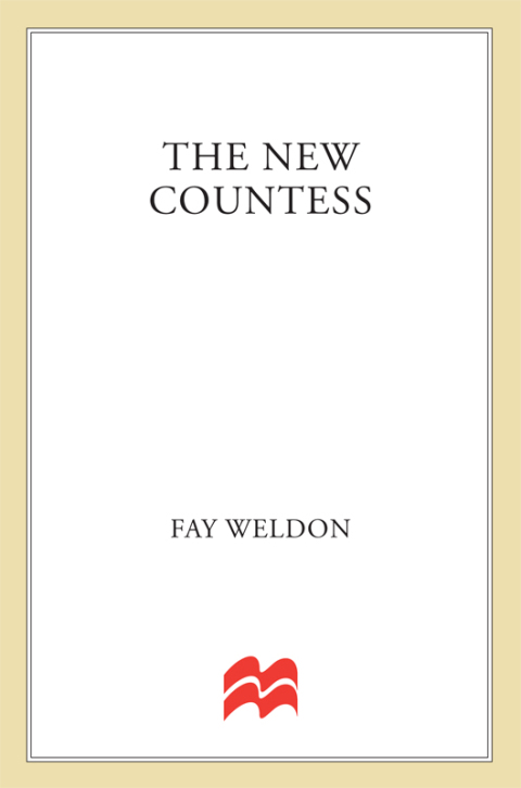 Cover image for book The New Countess