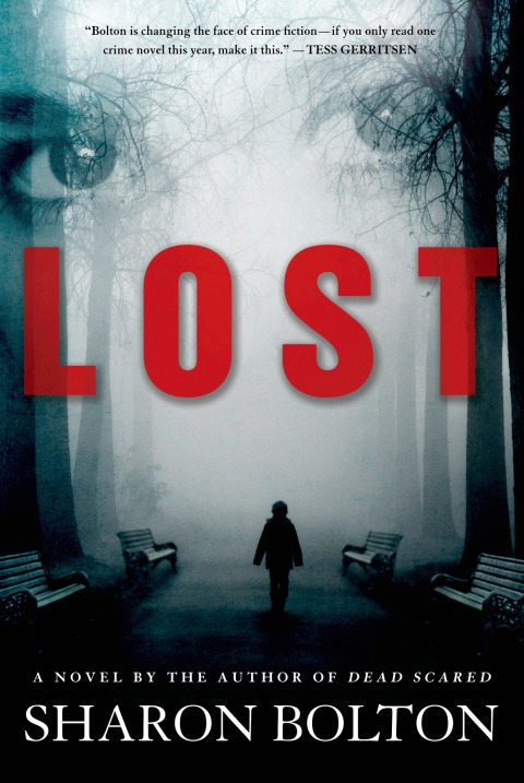 Cover image for book Lost