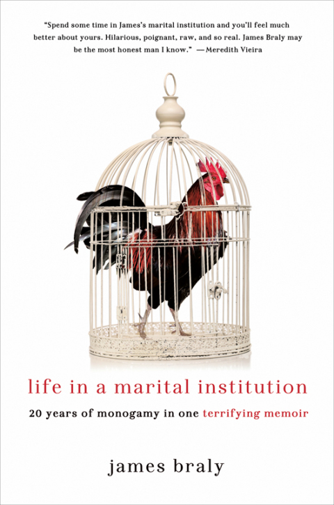 Cover image for book Life in a Marital Institution