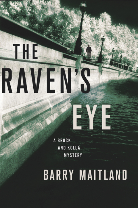 Cover image for book The Raven's Eye