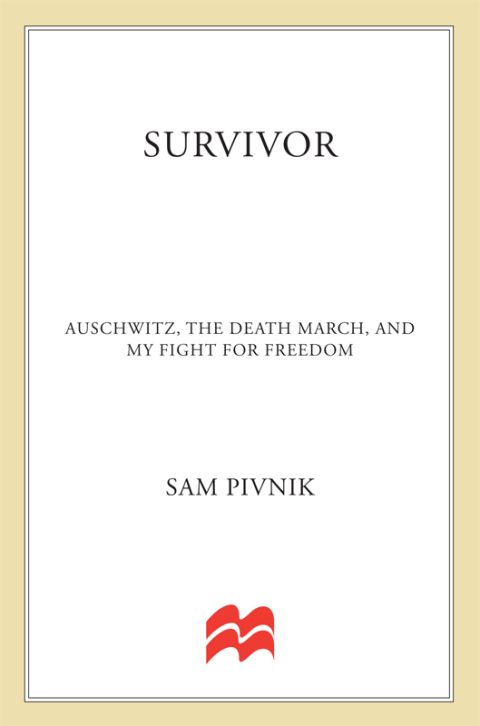 Cover image for book Survivor