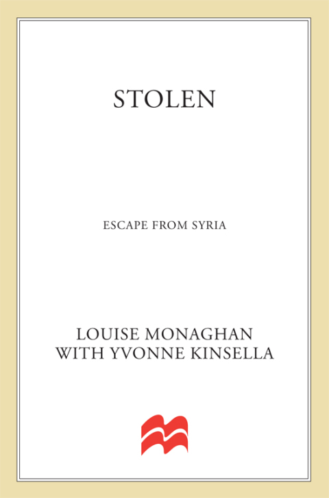 Cover image for book Stolen