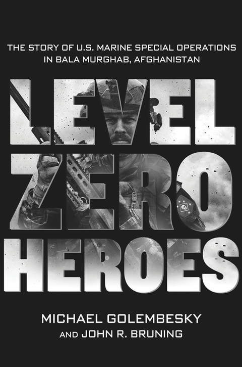 Cover image for book Level Zero Heroes