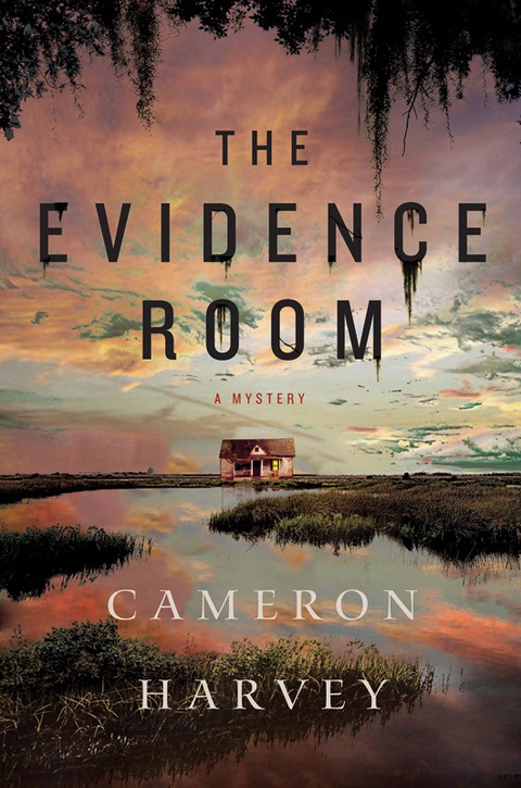 Cover image for book The Evidence Room