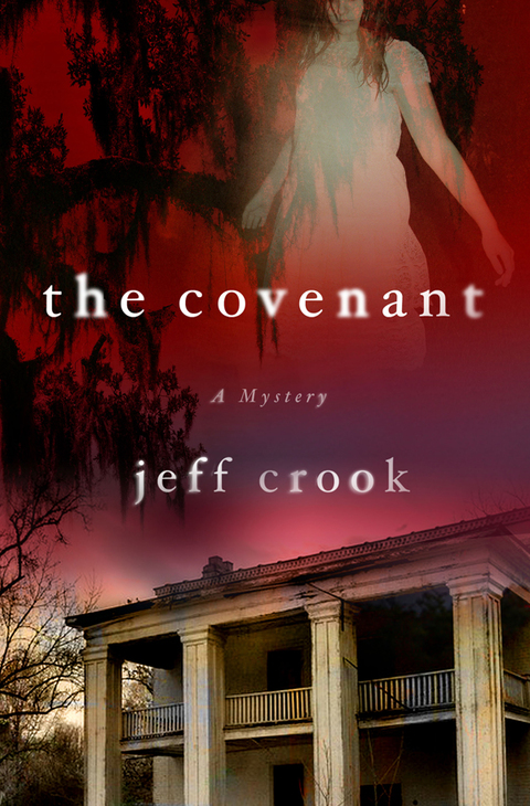 Cover image for book The Covenant