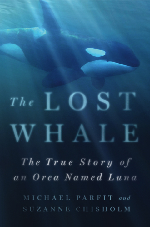 Cover image for book The Lost Whale