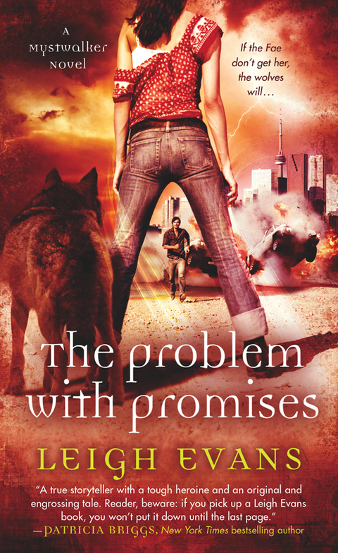 Cover image for book The Problem with Promises