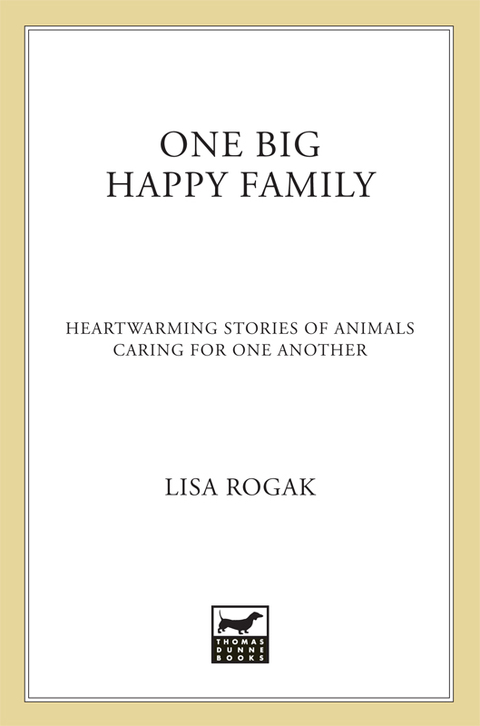 Cover image for book One Big Happy Family