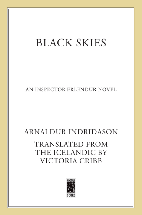 Cover image for book Black Skies