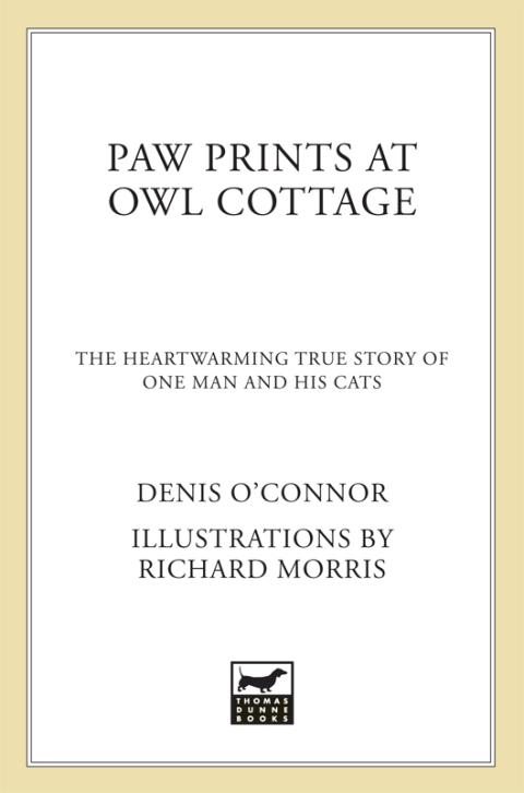 Cover image for book Paw Prints at Owl Cottage