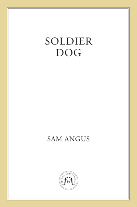 Cover image for book Soldier Dog