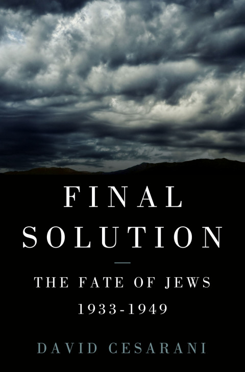 Cover image for book Final Solution