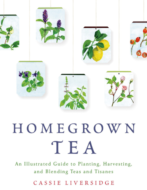 Cover image for book Homegrown Tea