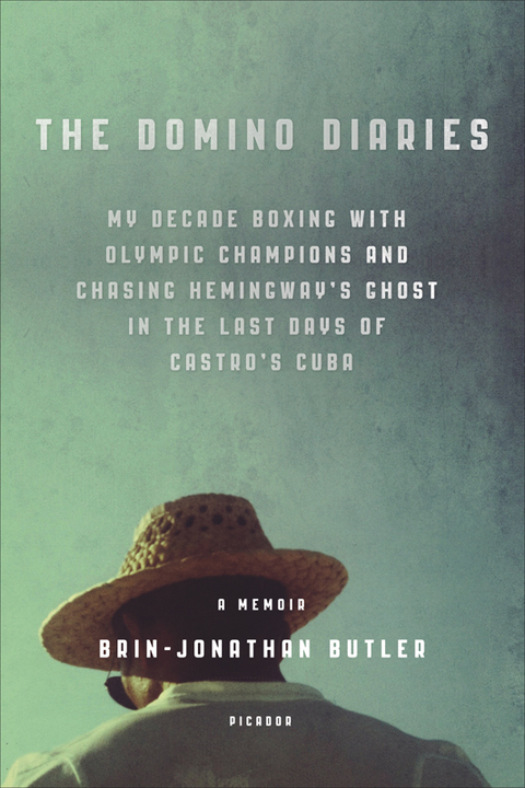 Cover image for book The Domino Diaries