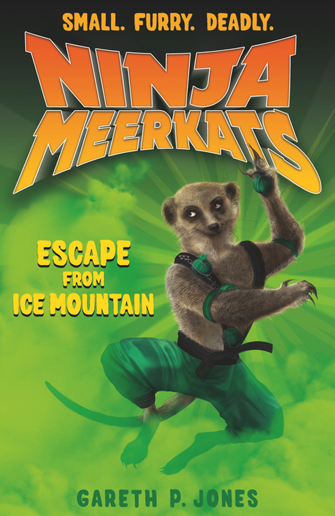 Cover image for book Ninja Meerkats (#3): Escape from Ice Mountain
