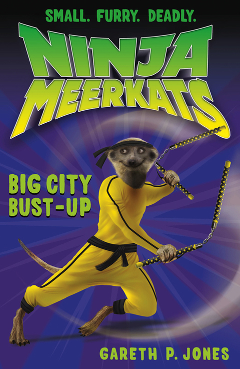 Cover image for book Ninja Meerkats (#6): Big City Bust-Up