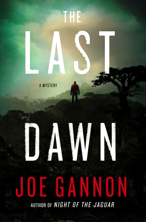 Cover image for book The Last Dawn